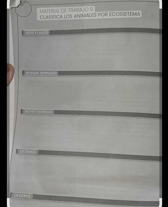 MATERIAL DE TRABAJO 9. 
CLASIFICA LOS ANIMALES POR ECOSISTEMA 
RIOS Y LAGOS 
BOSQUE TEMPLADO 
Selvas HÜmedAs 
OCéANOS 
desierto