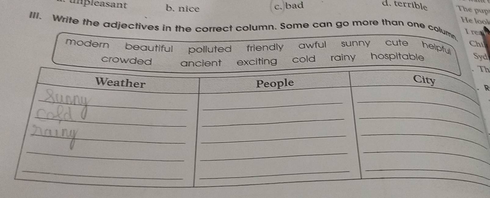 u n pleasant b. nice
c. bad
d. terrible The pup
He lool
III. Write the adjectives in the correct column. Some can go more than one column.
Irea
Chin
modern beautiful polluted friendly awful sunny cute helpful Syd
rainy hospitable
h
R