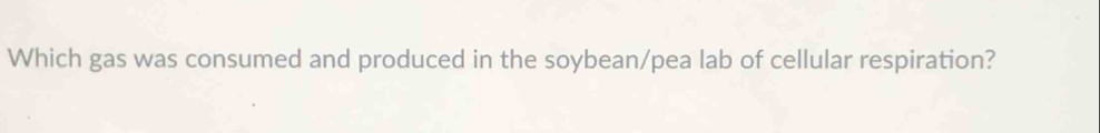 Which gas was consumed and produced in the soybean/pea lab of cellular respiration?