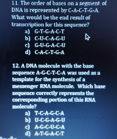 1 1. The order of bases on a segment of
DNA is represented by C-A-C-T-G-A. 
What would be the end result of
transcription for this sequence?
a) G-T-G-A-C-T
b) C-U-C-A-G-U
c) G-U-G-A-C-U
d) C-A-C-T-G-A
12. A DNA molecule with the base
sequence A-G-C-T-C-A was used as a
template for the synthesis of a
messenger RNA molecule. Which base
sequence correctly represents the
corresponding portion of this RNA
molecule?
a) T-C-A-G-C-A
b) U-C-G-A-G-U
c A-G-C-U-C-A
d) A-T-G-A-C-T