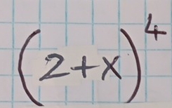 (2+x)^4