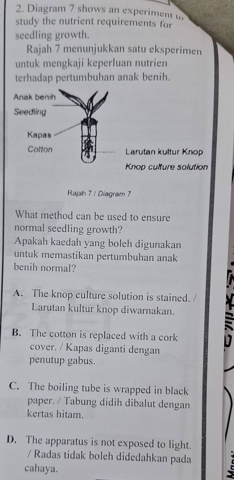 Diagram 7 shows an experiment to
study the nutrient requirements for
seedling growth.
Rajah 7 menunjukkan satu eksperimen
untuk mengkaji keperluan nutrien
terhadap pertumbuhan anak benih.
Larutan kultur Knop
Knop culture solution
Rajah 7 / Diagram 7
What method can be used to ensure
normal seedling growth?
Apakah kaedah yang boleh digunakan
untuk memastikan pertumbuhan anak
benih normal?
A. The knop culture solution is stained. /
Larutan kultur knop diwarnakan.
B. The cotton is replaced with a cork
cover. / Kapas diganti dengan
penutup gabus.
C. The boiling tube is wrapped in black
paper. / Tabung didih dibalut dengan
kertas hitam.
D. The apparatus is not exposed to light.
/ Radas tidak boleh didedahkan pada
cahaya.
C