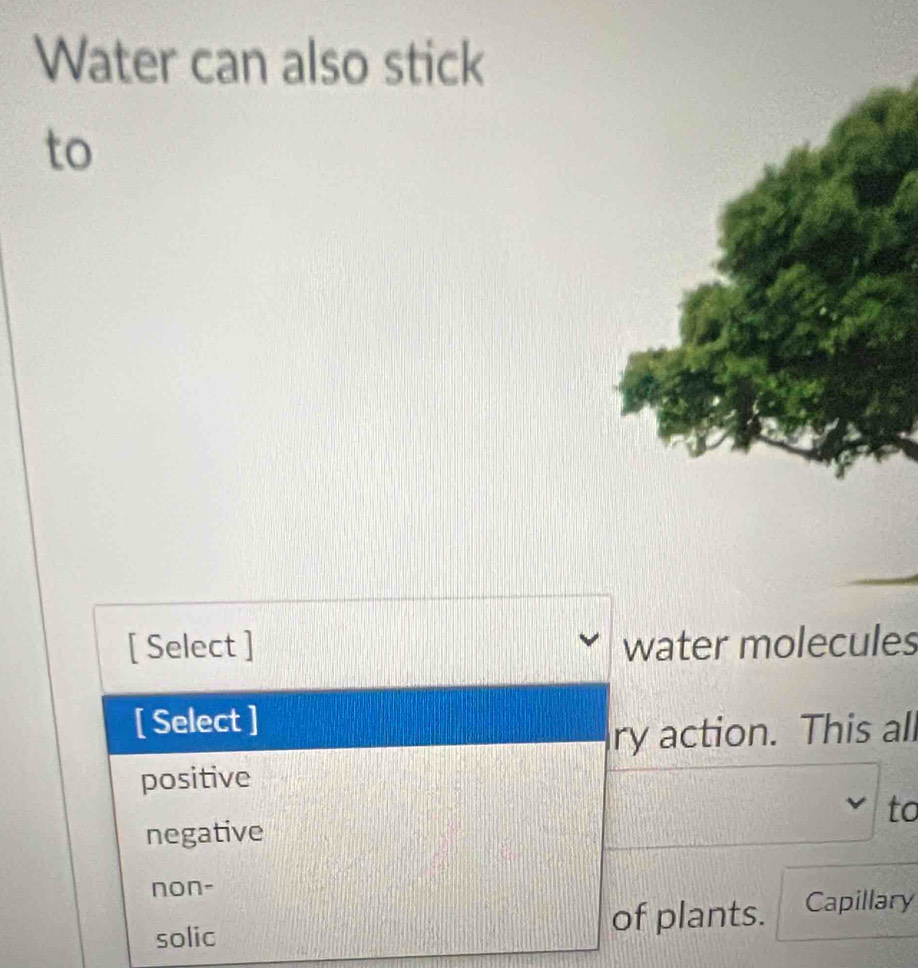 Water can also stick
to
[ Select ] water molecules
[ Select ]
ry action. This all
positive
to
negative
non-
solic
of plants. Capillary