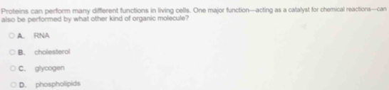 Proteins can perform many different functions in living cells. One major function—acting as a catalyst for chemical reactions—can
also be performed by what other kind of organic molecule?
A. RNA
B. cholesterol
C. glycogen
D. phospholipids