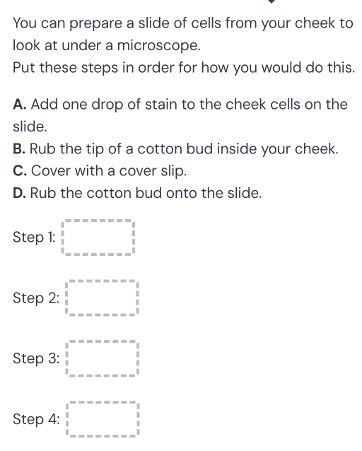 You can prepare a slide of cells from your cheek to
look at under a microscope.
Put these steps in order for how you would do this.
A. Add one drop of stain to the cheek cells on the
slide.
B. Rub the tip of a cotton bud inside your cheek.
C. Cover with a cover slip.
D. Rub the cotton bud onto the slide.
Step 1: □ =------=--=-beginarrayr □  □ endarray
Step 2: □ =---□ = □ 
Step 3: □ =----□ =---=--=-beginarrayr frac  1/2  □  1/2  _ -----------------beginarrayr 1endarray  beginarrayr  1/2 endarray
Step 4: □°=-x-□ =-----=x-  1/2  hline endarray