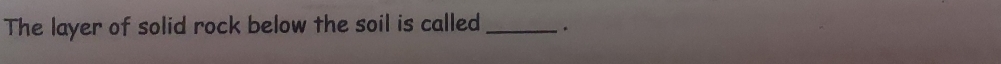 The layer of solid rock below the soil is called _.