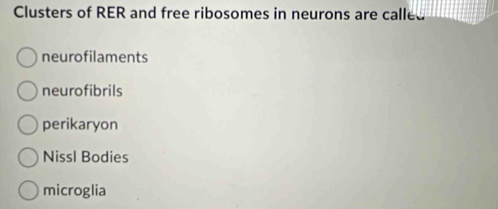 Solved: Clusters of RER and free ribosomes in neurons are called ...