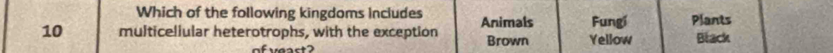 Which of the following kingdoms includes Plants 
Fungí
10 multicellular heterotrophs, with the exception Animals Yellow Black 
of veast 
Brown