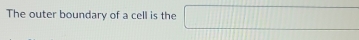 The outer boundary of a cell is the □