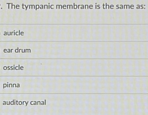 The tympanic membrane is the same as:
auricle
ear drum
ossicle
pinna
auditory canal