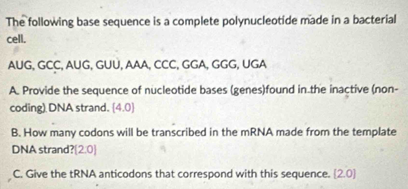 Solved: The following base sequence is a complete polynucleotide made ...