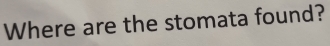 Where are the stomata found?