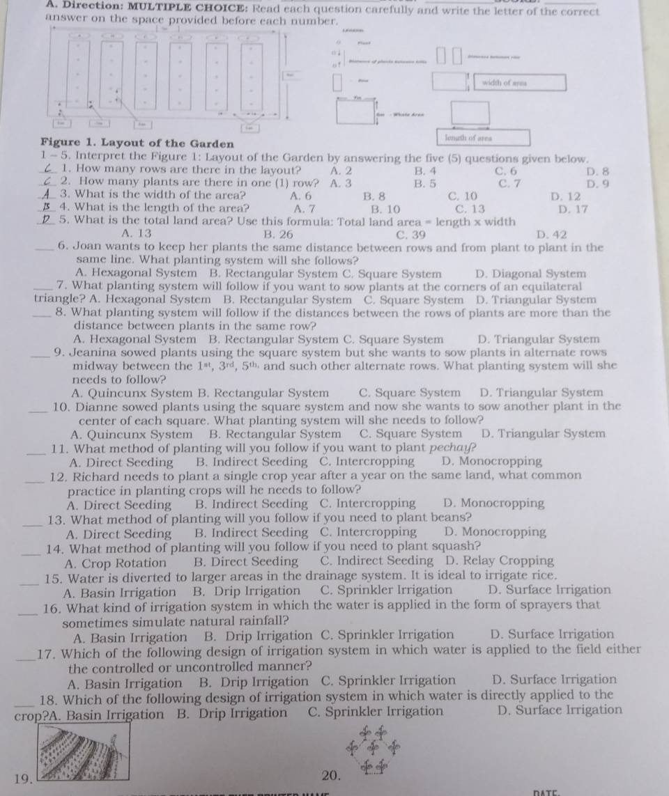 Direction: MULTIPLE CHOICE: Read each question carefully and write the letter of the correct
answer on the space provided before each number.
0 ↓
1 width of area
Figure 1. Layout of the Garden
lenath of ares
-5 5. Interpret the Figure 1: Layout of the Garden by answering the five (5) questions given below.
1. How many rows are there in the layout? A. 2 B. 4 C. 6
_2. How many plants are there in one (1) row? A. 3 C. 7 D. 9 D. 8
__3. What is the width of the area? A. 6 B. 8 B. 5 C. 10 D. 12
_4. What is the length of the area? A. 7 B. 10 C. 13 D. 17
_5. What is the total land area? Use this formula: Total land are 1= length x width
A. 13 B. 26 C. 39 D. 42
_6. Joan wants to keep her plants the same distance between rows and from plant to plant in the
same line. What planting system will she follows?
A. Hexagonal System B. Rectangular System C. Square System D. Diagonal System
_7. What planting system will follow if you want to sow plants at the corners of an equilateral
triangle? A. Hexagonal System B. Rectangular System C. Square System D. Triangular System
_8. What planting system will follow if the distances between the rows of plants are more than the
distance between plants in the same row?
A. Hexagonal System B. Rectangular System C. Square System D. Triangular System
_9. Jeanina sowed plants using the square system but she wants to sow plants in alternate rows
midway between the 1^(st),3^(rd),5^(th). and such other alternate rows. What planting system will she
needs to follow?
A. Quincunx System B. Rectangular System C. Square System D. Triangular System
_10. Dianne sowed plants using the square system and now she wants to sow another plant in the
center of each square. What planting system will she needs to follow?
A. Quincunx System B. Rectangular System C. Square System D. Triangular System
_
11. What method of planting will you follow if you want to plant pechay?
A. Direct Seeding B. Indirect Seeding C. Intercropping D. Monocropping
_
12. Richard needs to plant a single crop year after a year on the same land, what common
practice in planting crops will he needs to follow?
A. Direct Seeding B. Indirect Seeding C. Intercropping D. Monocropping
_
13. What method of planting will you follow if you need to plant beans?
A. Direct Seeding B. Indirect Seeding C. Intercropping D. Monocropping
_
14. What method of planting will you follow if you need to plant squash?
A. Crop Rotation B. Direct Seeding C. Indirect Seeding D. Relay Cropping
_15. Water is diverted to larger areas in the drainage system. It is ideal to irrigate rice.
A. Basin Irrigation B. Drip Irrigation C. Sprinkler Irrigation D. Surface Irrigation
_16. What kind of irrigation system in which the water is applied in the form of sprayers that
sometimes simulate natural rainfall?
A. Basin Irrigation B. Drip Irrigation C. Sprinkler Irrigation D. Surface Irrigation
_17. Which of the following design of irrigation system in which water is applied to the field either
the controlled or uncontrolled manner?
A. Basin Irrigation B. Drip Irrigation C. Sprinkler Irrigation D. Surface Irrigation
_18. Which of the following design of irrigation system in which water is directly applied to the
crop?A. Basin Irrigation B. Drip Irrigation C. Sprinkler Irrigation D. Surface Irrigation
19. 20.