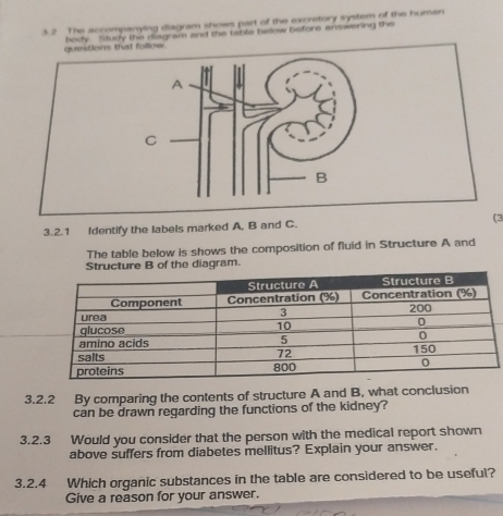 3.2 The accompanying diagram shows part of the excretory system of the human 
questions that follow body. Study the diagram and the table below before answering the 
C 
3.2.1 Identify the labels marked A, B and C. (3 
The table below is shows the composition of fluid in Structure A and 
iagram. 
3.2.2 By comparing the contents of structure A and B, what conclusion 
can be drawn regarding the functions of the kidney? 
3.2.3 Would you consider that the person with the medical report shown 
above suffers from diabetes mellitus? Explain your answer. 
3.2.4 Which organic substances in the table are considered to be useful? 
Give a reason for your answer.