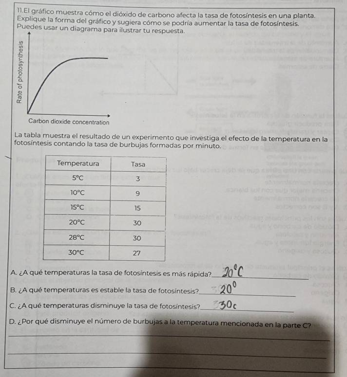 El gráfico muestra cómo el dióxido de carbono afecta la tasa de fotosíntesis en una planta.
Explique la forma del gráfico y sugiera cómo se podría aumentar la tasa de fotosíntesis.
Puedes usar un diagrama para ilustrar tu respuesta.
La tabla muestra el resultado de un experimento que investiga el efecto de la temperatura en la
fotosíntesis contando la tasa de burbujas formadas por minuto.
A. ¿A qué temperaturas la tasa de fotosíntesis es más rápida?_
_
B. ¿A qué temperaturas es estable la tasa de fotosíntesis?
C. ¿A qué temperaturas disminuye la tasa de fotosíntesis?_
D. ¿Por qué disminuye el número de burbujas a la temperatura mencionada en la parte C?
_
_
_