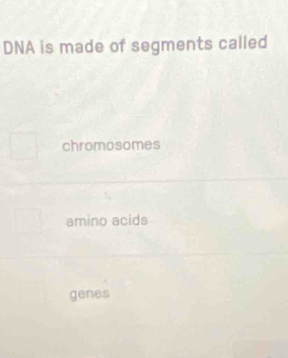 DNA is made of segments called
chromosomes
amino acids
genes