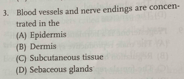 Blood vessels and nerve endings are concen-
trated in the
(A) Epidermis
(B) Dermis
(C) Subcutaneous tissue
(D) Sebaceous glands