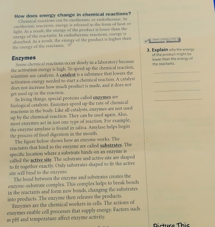 How does energy change in chemical reactions? 
Chemical reactions can be exothermic or endothermic. In 
exothermic reactions, energy is released in the form of heat or 
light. As a result, the energy of the product is lower than the 
energy of the reactants. In endothermic reactions, energy is 
absorbed. As a result, the energy of the product is higher than Reading Check 
the energy of the reactants. 
3. Explain why the energy 
Enzymes lower than the energy of of the product might be 
Some chemical reactions occur slowly in a laboratory because 
the activation energy is high. To speed up the chemical reaction, the reactants. 
scientists use catalysts. A catalyst is a substance that lowers the 
_ 
activation energy needed to start a chemical reaction. A catalyst_ 
does not increase how much product is made, and it does not 
get used up in the reaction. 
_ 
In living things, special proteins called enzymes are_ 
biological catalysts. Enzymes speed up the rate of chemical 
reactions in the body. Like all catalysts, enzymes are not used 
up by the chemical reaction. They can be used again. Also, 
most enzymes act in just one type of reaction. For example, 
the enzyme amylase is found in saliva. Amylase helps begin 
the process of food digestion in the mouth. 
The figure below shows how an enzyme works. The 
reactants that bind to the enzyme are called substrates. The 
specific location where a substrate binds on an enzyme is 
called the active site. The substrate and active site are shaped 
to fit together exactly. Only substrates shaped to fit the active 
site will bind to the enzyme. 
The bond between the enzyme and substrates creates the 
enzyme-substrate complex. This complex helps to break bonds 
in the reactants and form new bonds, changing the substrates 
into products. The enzyme then releases the products. 
Enzymes are the chemical workers in cells. The actions of 
enzymes enable cell processes that supply energy. Factors such 
as pH and temperature affect enzyme activity. 
Dicture This