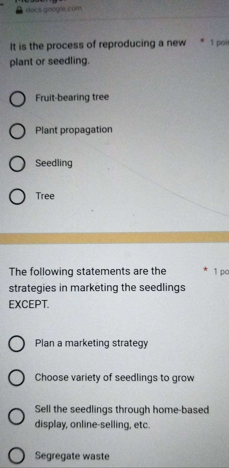 docs.google.com
It is the process of reproducing a new 1 poir
plant or seedling.
Fruit-bearing tree
Plant propagation
Seedling
Tree
The following statements are the 1 po
strategies in marketing the seedlings
EXCEPT.
Plan a marketing strategy
Choose variety of seedlings to grow
Sell the seedlings through home-based
display, online-selling, etc.
Segregate waste