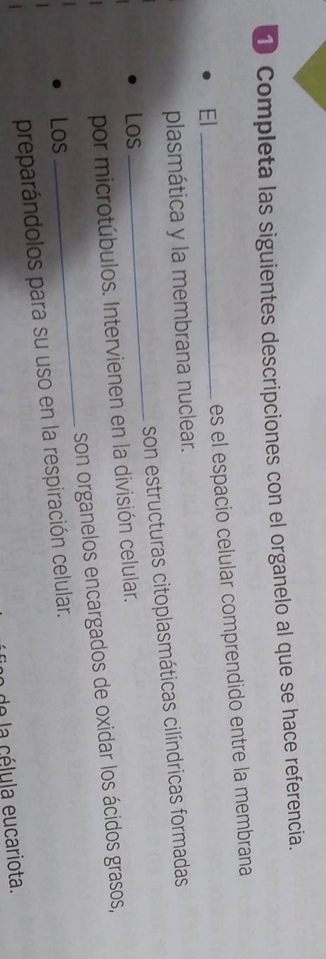 ① Completa las siguientes descripciones con el organelo al que se hace referencia. 
El_ 
es el espacio celular comprendido entre la membrana 
plasmática y la membrana nuclear. 
son estructuras citoplasmáticas cilíndricas formadas 
Los 
_ 
por microtúbulos. Intervienen en la división celular. 
son organelos encargados de oxidar los ácidos grasos, 
Los 
_ 
preparándolos para su uso en la respiración celular. 
o de la célula eucariota.