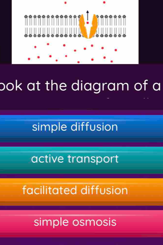 bok at the diagram of a
simple diffusion
active transport
facilitated diffusion
simple osmosis