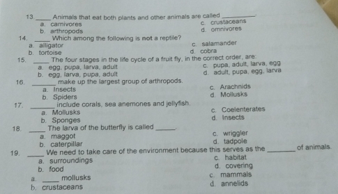 13 _Animals that eat both plants and other animals are called_
a carnivores c. crustaceans
_
14. b. arthropods
Which among the following is not a reptile? d. omnivores
b. tortoise a alligato c. salamander
_
15. The four stages in the life cycle of a fruit fly, in the correct order, are: d. cobra
a. egg, pupa, larva, aduit c. pupa, adult, larva, egg
b. egg, larva, pupa, adult
16. _make up the largest group of arthropods. d. adult, pupa, egg, larva
a insects c. Arachnids
b. Spiders d. Mollusks
17. _include corals, sea anemones and jellyfish
a. Mollusks c. Coelenterates
b. Sponges d. Insects
18. _The larva of the butterfly is called _. 
a. maggot c. wriggler
b. caterpillar d. tadpole
19. _We need to take care of the environment because this serves as the _of animals
a. surroundings c. habitat
b. food d. covering
a. _mollusks c. mammals
b. crustaceans d. annelids