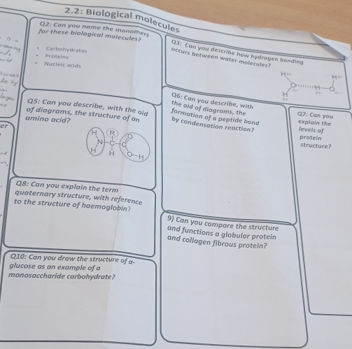 2.2: Biological molecules 
Q2: Can you name the monomers 
for these biological molecules? 
“” Carbohydrates 
Q3: Can you describe how hydrogen bonding 
Proteins 
occurs between water molecules? 
Nucleic acids 
horess Q6: Can you describe, with 
the aid of diagrams, the Q7: Can you 
Q5: Can you describe, with the aid formation of a peptide bond explain the 
amino acid? 
of diagrams, the structure of an by condensation reaction? levels of protein 
er 
R 
N 
structure? 
H H O—H
Q8: Can you explain the term 
quaternary structure, with reference 
to the structure of haemoglobin? 9) Can you compare the structure 
and functions a globular protein 
and collagen fibrous protein? 
Q10: Can you draw the structure of a 
glucose as an example of a 
monosaccharide carbohydrate?