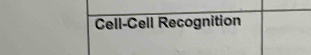 Cell-Cell Recognition