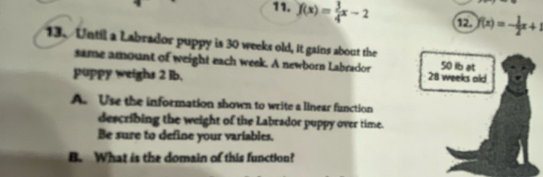 f(x)= 3/4 x-2
12. f(x)=- 1/2 x+1
13. Until a Labrador puppy is 30 weeks old, it gains about the 
same amount of weight each week. A newborn Labrador 50 ib at 
puppy weighs 2 lb. 28 weeks old 
A. Use the information shown to write a linear function 
describing the weight of the Labrador puppy over time. 
Be sure to define your variables. 
B. What is the domain of this function?