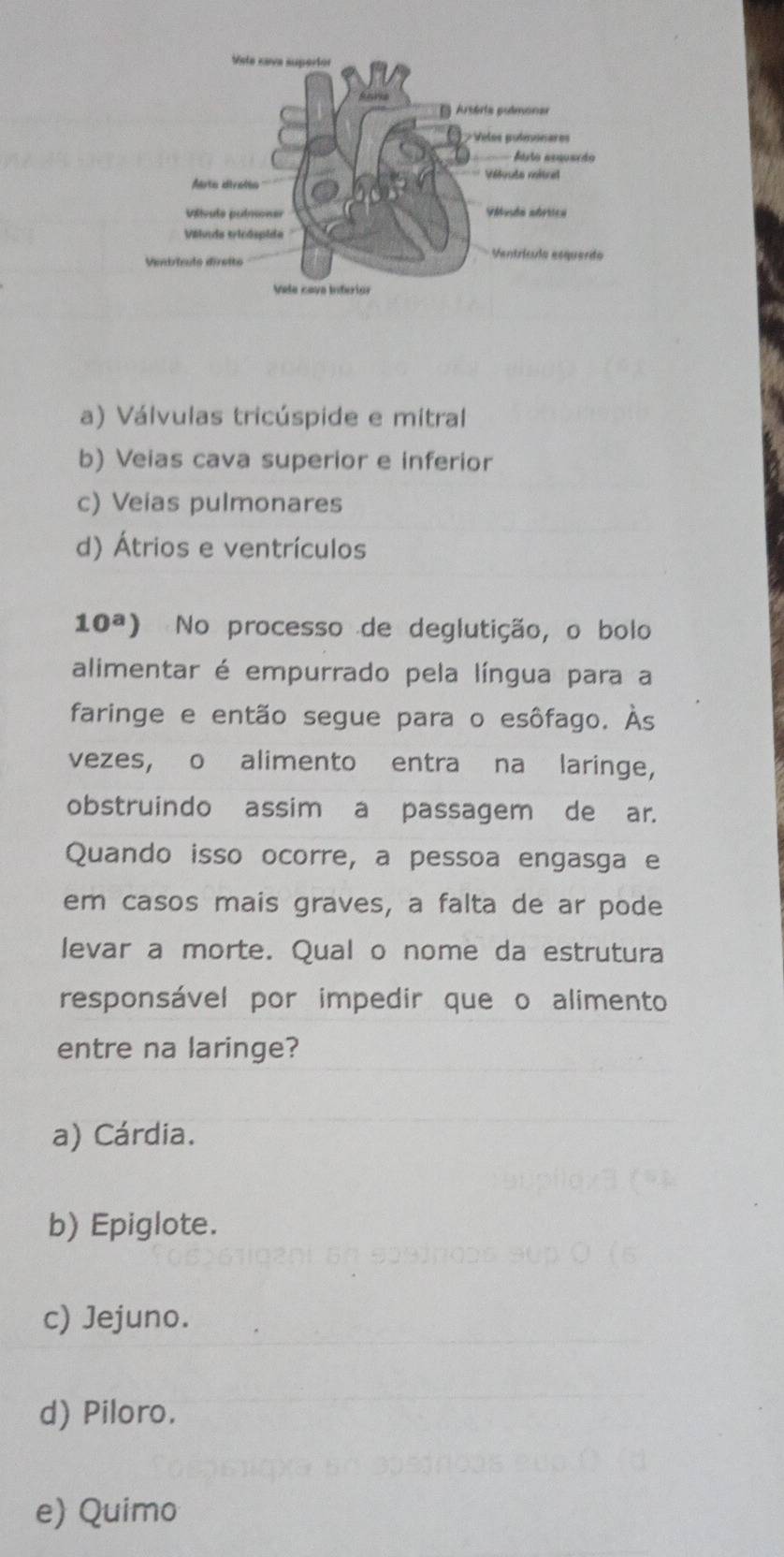 a) Válvulas tricúspide e mitral
b) Veias cava superior e inferior
c) Veias pulmonares
d) Átrios e ventrículos
10^a) No processo de deglutição, o bolo
alimentar é empurrado pela língua para a
faringe e então segue para o esôfago. Às
vezes, o alimento entra na laringe,
obstruindo assim a passagem de ar.
Quando isso ocorre, a pessoa engasga e
em casos mais graves, a falta de ar pode
levar a morte. Qual o nome da estrutura
responsável por impedir que o alimento
entre na laringe?
a) Cárdia.
b) Epiglote.
c) Jejuno.
d) Piloro.
e) Quimo