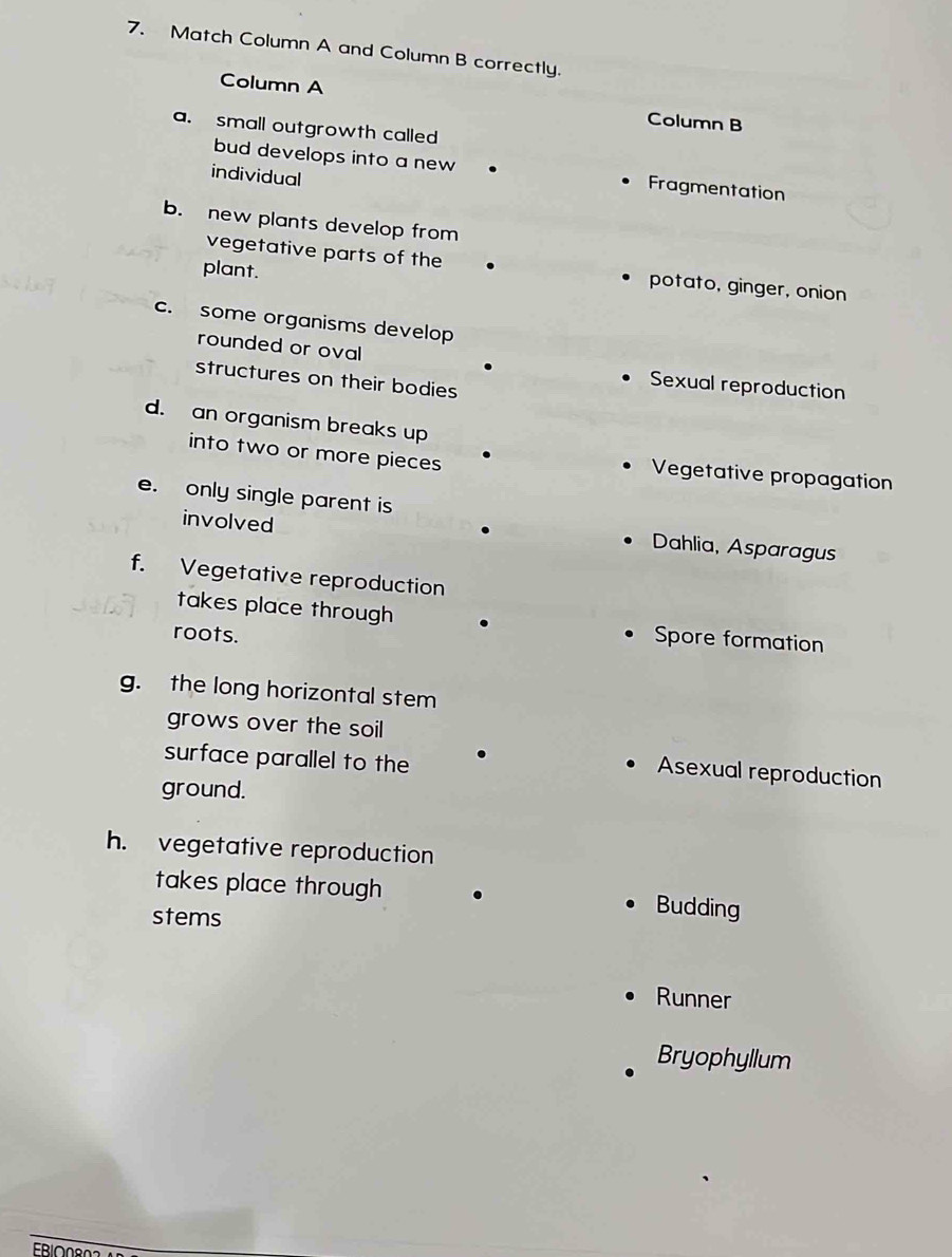 Match Column A and Column B correctly.
Column A Column B
a. small outgrowth called
bud develops into a new Fragmentation
individual
b. new plants develop from
vegetative parts of the potato, ginger, onion
plant.
c. some organisms develop
rounded or oval
structures on their bodies
Sexual reproduction
d. an organism breaks up
into two or more pieces Vegetative propagation
e. only single parent is
involved
Dahlia, Asparagus
f. Vegetative reproduction
takes place through Spore formation
roots.
g. the long horizontal stem
grows over the soil
surface parallel to the
Asexual reproduction
ground.
h. vegetative reproduction
takes place through Budding
stems
Runner
Bryophyllum