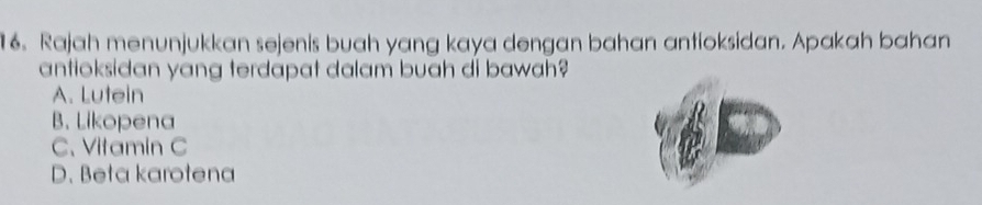 Rajah menunjukkan sejenis buah yang kaya dengan bahan antioksidan. Apakah bahan
antioksidan yang terdapat dalam buah di bawah?
A. Lutein
B. Likopena
C、 Vitamin C
D. Beta karotena