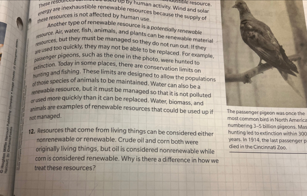 austible resource. 
These resouice ued up by human activity. Wind and solar 
energy are inexhaustible renewable resources because the supply of 
these resources is not affected by human use. 
Another type of renewable resource is a potentially renewable 
resource. Air, water, fish, animals, and plants can be renewable material 
resources, but they must be managed so they do not run out. If they 
are used too quickly, they may not be able to be replaced. For example,
8 passenger pigeons, such as the one in the photo, were hunted to 
extinction. Today in some places, there are conservation limits on 
hunting and fishing. These limits are designed to allow the populations 
of those species of animals to be maintained. Water can also be a 
renewable resource, but it must be managed so that it is not polluted 
or used more quickly than it can be replaced. Water, biomass, and 
animals are examples of renewable resources that could be used up if he
5 5 not managed. 
most common bird in North America 
numbering 3-5 billion pigeons. Mas 
12. Resources that come from living things can be considered either hunting led to extinction within 300
nonrenewable or renewable. Crude oil and corn both were years. In 1914, the last passenger p 
died in the Cincinnati Zoo. 
originally living things, but oil is considered nonrenewable while 
corn is considered renewable. Why is there a difference in how we 
treat these resources?