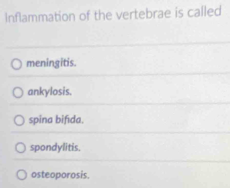 Inflammation of the vertebrae is called
meningitis.
ankylosis.
spina bifıda.
spondylitis.
osteoporosis.