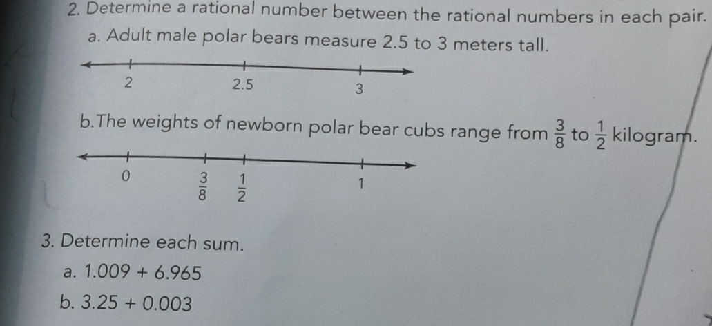 Determine a rational number between the rational numbers in each pair.
a. Adult male polar bears measure 2.5 to 3 meters tall.
b.The weights of newborn polar bear cubs range from  3/8  to  1/2  kilogram.
3. Determine each sum.
a. 1.009+6.965
b. 3.25+0.003