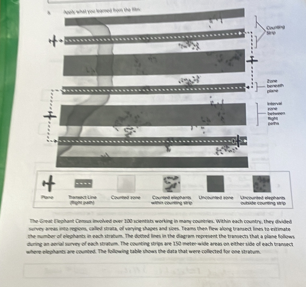 pply what you learned from the film: 
survey areas into regions, called strata, of varying shapes and sizes. Teams then flew along transect lines to estimate 
the number of elephants in each stratum. The dotted lines in the diagram represent the transects that a plane follows 
during an aerial survey of each stratum. The counting strips are 150 meter -wide areas on either side of each transect 
where elephants are counted. The following table shows the data that were collected for one stratum.