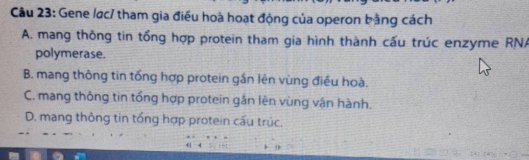 Gene /ac/ tham gia điều hoà hoạt động của operon bằng cách
A. mang thông tin tổng hợp protein tham gia hình thành cấu trúc enzyme RNA
polymerase.
B. mang thông tin tổng hợp protein gắn lên vùng điều hoà.
C. mang thông tin tổng hợp protein gắn lên vùng vận hành.
D. mang thông tin tổng hợp protein cấu trúc.