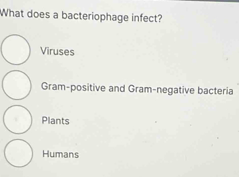 What does a bacteriophage infect?
Viruses
Gram-positive and Gram-negative bacteria
Plants
Humans