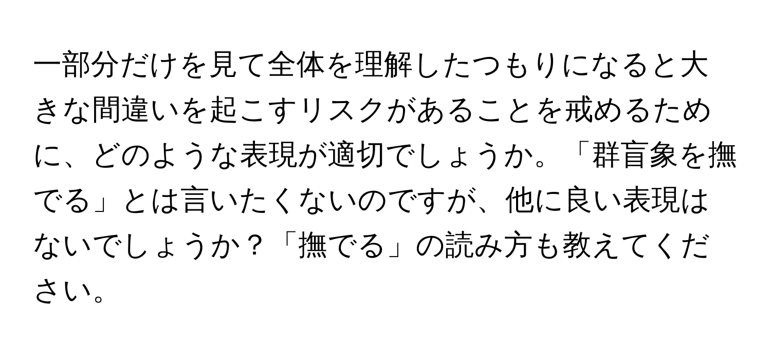 一部分だけを見て全体を理解したつもりになると大きな間違いを起こすリスクがあることを戒めるために、どのような表現が適切でしょうか。「群盲象を撫でる」とは言いたくないのですが、他に良い表現はないでしょうか？「撫でる」の読み方も教えてください。