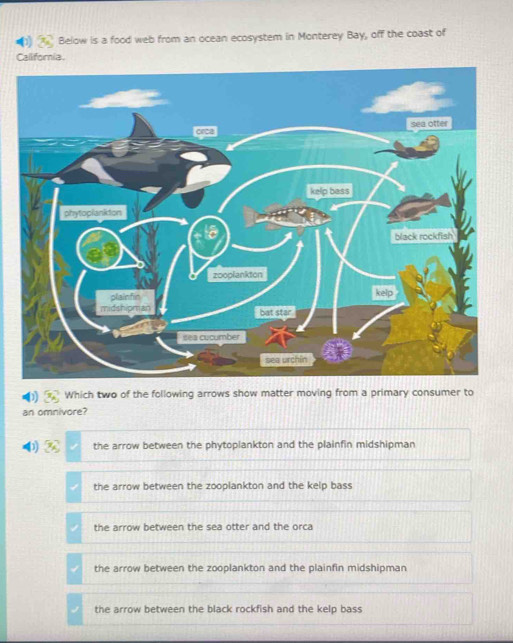 Solved: Below is a food web from an ocean ecosystem in Monterey Bay ...