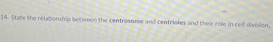 State the relationship between the centrosome and centrioles and their role in cell division.