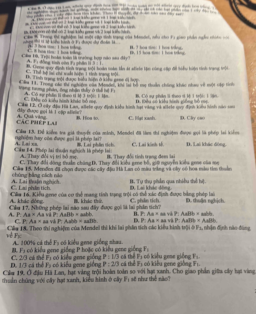 an & Ở đâu Hà Lan, allele quy định hoa tìm tội hoàn tàn số với alleie my định họs tàn g   T 
ri nghiệm thực hành lại giống, một nhóm học sinh đá lấy lái cả các lát phân của 1 sáy đực 1
te Awan she  I eay dow ham tm knes T hee It tuyer, do ahan no at dy aay
A Đội con có thể có 1 loại kiều geng và 1 loại kiều hình. Đội con có thể có 2 loại kiều gene và 1 loại kiều hình
Đ ời con có thể có 3 loại kiểu geng và 2 loại kiểu hình
D. Đời con có thể có 2 loại kiểu gene và 2 loại kiểu hình.
Câu 9 Trong thí nghiệm lai một cặp tính trạng của Mendel, nếu cho V_2 giao phần ngẫu nhiên vớn
nhay thì tí lệ kiểu hình ở 1^7_ được dự đoán là...
hoa tím: 1 hoa trắng. B. 7 hoa tim: 1 hoa trắng.
C. 8 hoa tím: 1 hoa trắng. D. 15 hoa tim; 1 hoa trắng
Câu 10, Trội hoàn toàn là trường hợp nào sau đây?
A. F_1 đồng tính còn F_2 phân lì 3:1,
B. Gene quy định tính trang trội hoàn toàn lần át allele lặn cùng cặp để biểu hiện tính trang trội
C. Thể hệ lai chí xuất hiện 1 tính trạng trội.
D. Tính trạng trội được biểu hiện ở kiểu gene dị hợp.
Cầu 11. Trong các thí nghiệm của Mendel, khi lai bố mẹ thuần chúng khác nhau về một cập tính
trạang tương phân, ông nhận thấy ở thế hệ F2
A. Có sự phân li theo tỉ lệ 3 trội: 1 lặn. B. Có sự phân li theo tí lệ 1 trội: 1 lận.
C. Đều cổ kiều hình khác bố mẹ. D. Đều có kiêu hình giống bố mẹ.
Câu 12. Ở cây đậu Hà Lan, allele quy định kiểu hình hạt vàng và allele quy định kiểu hình nào sau
đây được gọi là 1 cặp allele?
A. Quả vàng. B. Hoa to. C. Hạt xanh. D. Cây cao
các phép lai
Câu 13. Để kiểm tra giả thuyết của mình, Mendel đã làm thí nghiệm được gọi là phép lai kiểm
nghiệm hay còn được gọi là phép lai?
A. Lai xa. B. Lai phân tích. C. Lai kinh tế, D. Lai khác dòng
Câu 14. Phép lai thuận nghịch là phép lai:
A. Thay đổi vị trí bố mẹ. B. Thay đổi tính trạng đem lai
C. Thay đổi dòng thuần chủngD. Thay đổi kiểu gene bố, giữ nguyễn kiểu gene của mẹ
Câu 15. Menđen đã chọn được các cây đậu Hà Lan có màu trắng và cây có hoa màu tím thuần
chủng bằng cách nào
A. Lai thuận nghịch. B. Tự thụ phần qua nhiều thế hệ.
C. Lai phân tích. D. Lai khác dòng.
Câu 16. Kiểu gene của cơ thể mang tính trạng trội có thể xác định được bằng phép lai
A. khác dòng. B. khác thứ. C. phân tích. D. thuận nghịch.
Câu 17. Những phép lai nào sau đây được gọi là lai phân tích?
A. P: Aa* A a và P: AaBb* aabb. B. P. Aa* aa - và P: AaBb × aabb,
C. P: Aa × aa và P: Aabb x- a aBb. D. P , Aa* aa và P: AaBb × AaBb.
Câu 18. Theo thí nghiệm của Mendel thì khi lai phân tích các kiểu hình trội ở F_2 , nhận định nào đúng
về F_3:
A. 100% cá thể F_3 có kiểu gene giống nhau.
B. F_3 có kiểu gene giống P hoặc có kiểu gene giống F_1
C. 2/3 cá thể F_3 có kiểu gene giống P:1/3 cá thể F_3 có kiểu gene giống F_1.
D. 1/3 cá thể F_3 có kiểu gene giống P:2/3 cá thể F_3 có kiểu gene giống F_1.
Câu 19. Ở đậu Hà Lan, hạt vàng trội hoàn toàn so với hạt xanh. Cho giao phần giữa cây hạt vàng
thuần chủng với cây hạt xanh, kiểu hình ở cây F_1 sẽ như thế nào?