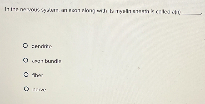 In the nervous system, an axon along with its myelin sheath is called a(n) _ .
dendrite
axon bundle
fiber
nerve