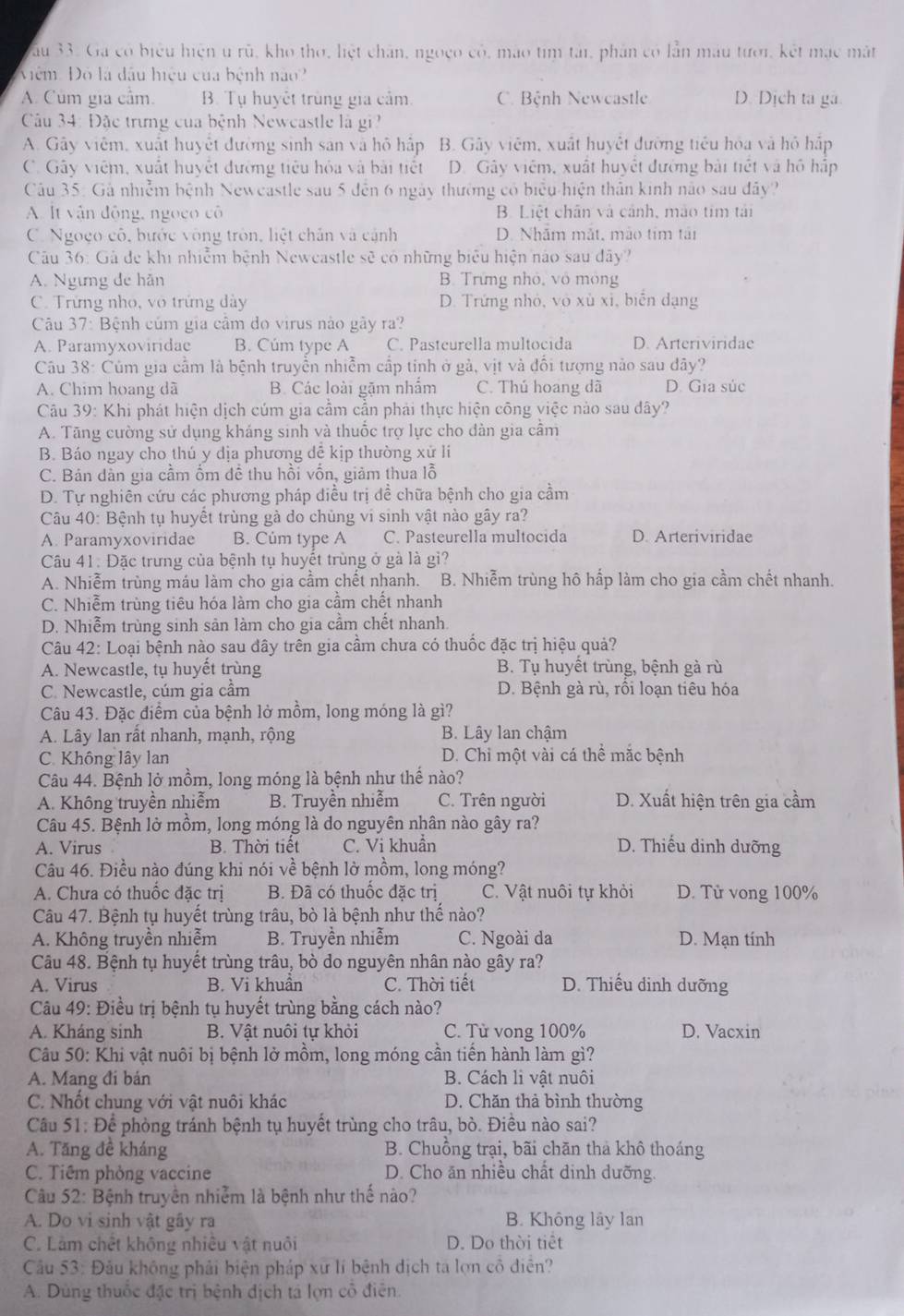 Vău 33. Ga có biểu hiện u rũ, kho thờ, lệt chân, ngoệo có, mào tìm tải, phân có lần màu tưới, kết mạc mặt
Việm. Đô là đầu hiệu của bệnh nào?
A. Cúm gia cầm. B. Tụ huyết trùng gia cảm. C. Bệnh Newcastle D. Dịch ta ga
Câu 34: Đặc trưng của bệnh Newcastle là gi
A. Gây viêm, xuất huyết đường sinh sản và hộ hập B. Gây viêm, xuất huyết đưỡng tiểu hóa và hỏ hấp
C. Gây việm, xuất huyết đường tiêu hóa và bài tiết D. Gây viêm, xuất huyết đường bài tiết và hô hấp
Câu 35: Gả nhiễm bệnh Neweastle sau 5 đến 6 ngày thường có biểu hiện thân kinh nào sau đây?
A. It vận động, ngọco cô B. Liệt chân và cảnh, mào tim tải
C. Ngoço cô, bước vòng tròn, liệt chân và cảnh D. Nhãm mắt, mão tim tái
Câu 36: Gả đe khi nhiễm bệnh Neweastle sẽ có những biểu hiện nào sau đây?
A. Ngưng đé hãn B. Trưng nhỏ, vô mông
C. Trừng nho, vô trứng dày D. Trứng nhỏ, vô xù xỉ, biến dạng
Câu 37: Bênh củm gia cầm do virus nào gày ra?
A. Paramyxoviridae B. Cúm type A C. Pastcurella multocida D. Arteriviridae
Câu 38: Củm gia cầm là bệnh truyền nhiễm cấp tinh ở gà, vịt và đổi tượng nào sau dây?
A. Chim hoang dã B. Các loài gặm nhâm C. Thú hoang dã D. Gia súc
Câu 39: Khi phát hiện dịch cúm gia cầm cần phải thực hiện công việc nào sau dây?
A. Tăng cường sử dụng kháng sinh và thuốc trợ lực cho dàn gia cầm
B. Báo ngay cho thú y dịa phương dễ kịp thường xử li
C. Bán dàn gia cấm ồm đề thu hồi vốn, giảm thua lỗ
D. Tự nghiên cứu các phương pháp diều trị dề chữa bệnh cho gia cầm
Câu 40: Bệnh tụ huyết trùng gà do chủng vi sinh vật nào gây ra?
A. Paramyxoviridae B. Cúm type A C. Pasteurella multocida D. Arteriviridae
Câu 41: Đặc trưng của bệnh tụ huyết trùng ở gà là gì?
A. Nhiễm trùng máu làm cho gia cầm chết nhanh. B. Nhiễm trùng hô hấp làm cho gia cầm chết nhanh.
C. Nhiễm trùng tiêu hóa làm cho gia cầm chết nhanh
D. Nhiễm trùng sinh sản làm cho gia cầm chết nhanh.
Câu 42: Loại bệnh nào sau dây trên gia cầm chưa có thuốc đặc trị hiệu quả?
A. Newcastle, tụ huyết trùng B. Tụ huyết trùng, bệnh gà rù
C. Newcastle, cúm gia cầm D. Bệnh gà rù, rối loạn tiêu hóa
Câu 43. Đặc điểm của bệnh lở mồm, long móng là gì?
A. Lây lan rất nhanh, mạnh, rộng B. Lây lan chậm
C. Không lây lan D. Chỉ một vài cá thể mắc bệnh
Câu 44. Bệnh lở mồm, long móng là bệnh như thế nào?
A. Không truyền nhiễm B. Truyền nhiễm C. Trên người D. Xuất hiện trên gia cầm
Câu 45. Bệnh lờ mồm, long móng là do nguyên nhân nào gây ra?
A. Virus B. Thời tiết C. Vi khuẩn D. Thiếu dinh dưỡng
Câu 46. Điều nào đúng khi nói về bệnh lờ mồm, long móng?
A. Chưa có thuộc đặc trị B. Đã có thuốc đặc trị C. Vật nuôi tự khỏi D. Tử vong 100%
Câu 47. Bệnh tụ huyết trùng trâu, bò là bệnh như thế nào?
A. Không truyền nhiễm B. Truyền nhiễm C. Ngoài da D. Mạn tính
Câu 48. Bệnh tụ huyết trùng trâu, bò do nguyên nhân nào gây ra?
A. Virus B. Vi khuân C. Thời tiết D. Thiếu dinh dưỡng
Câu 49: Điều trị bệnh tụ huyết trùng bằng cách nào?
A. Kháng sinh B. Vật nuôi tự khỏi C. Tử vong 100% D. Vacxin
Câu 50: Khi vật nuôi bị bệnh lở mồm, long móng cần tiến hành làm gì?
A. Mang đi bán B. Cách li vật nuôi
C. Nhốt chung với vật nuôi khác D. Chăn thả bình thường
Câu 51: Để phòng tránh bệnh tụ huyết trùng cho trâu, bò. Điều nào sai?
A. Tăng đề kháng B. Chuồng trại, bãi chãn tha khô thoáng
C. Tiêm phòng vaccine D. Cho ăn nhiều chất dinh dưỡng.
Câu 52: Bệnh truyền nhiễm là bệnh như thế nào?
A. Do vi sinh vật gây ra B. Không lây lan
C. Làm chết không nhiều vật nuôi D. Do thời tiết
Câu 53: Đầu không phải biện pháp xữ lí bệnh dịch ta lợn cô điễn?
A. Dùng thuốc đặc trị bệnh địch tả lợn cô điễn