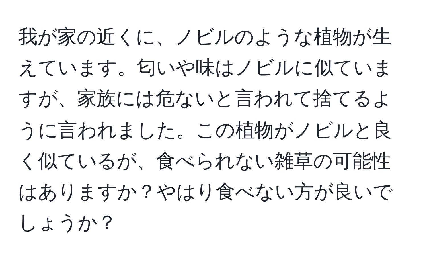 我が家の近くに、ノビルのような植物が生えています。匂いや味はノビルに似ていますが、家族には危ないと言われて捨てるように言われました。この植物がノビルと良く似ているが、食べられない雑草の可能性はありますか？やはり食べない方が良いでしょうか？