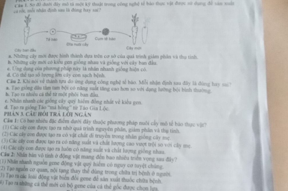 Cầa I. Sơ đồ đưới đây mô tả một kỹ thuật trong công nghệ tế bảo thực vật được sứ dụng để sản xuất
rốt, mỗi nhận định sau là đúng hay sai?
a. Những cây mới được hình thành dựa trên cơ sở của quá trình giảm phân và thụ tinh.
b. Những cây mới có kiểu gen giống nhau và giống với cây ban đầu.
c. Ứng dụng của phương pháp này là nhân nhanh giống hiện có.
d. Có thể tạo số lượng lớn cây con sạch bệnh.
Câu 2. Khi nói về thành tựu do ứng dụng công nghệ tế bảo. Mỗi nhận định sau đây là đúng hay sai?
a. Tạo giống dầu tăm tam bội có năng suất tăng cao hơn so với dạng lưỡng bội bình thường.
b. Tạo ra nhiêu cá thể từ một phôi ban đầu.
e. Nhân nhanh các giống cây quý hiếm đồng nhất về kiểu gen.
d. Tạo ra giống Táo “má hồng” từ Táo Gia Lộc.
PhàN 3. câU HồI TRẢ LờI Ngân
Câu 1: Có bao nhiêu đặc điểm dưới đây thuộc phương pháp nuôi cấy mô tế bào thực vật?
(1) Các cây con được tạo ra nhờ quá trình nguyên phân, giảm phân và thụ tinh.
(2) Các cây con được tạo ra có vật chất di truyền trong nhân giống cây mẹ.
(3) Các cây con được tạo ra có năng suất và chất lượng cao vượt trội so với cây mẹ.
(4) Các cây con được tạo ra luôn có năng suất và chất lượng giống nhau.
Câu 2: Nhân bản vô tính ở động vật mang đến bao nhiêu triển vọng sau đây?
(1) Nhân nhanh nguồn gene động vật quý hiểm có nguy cơ tuyệt chủng.
(2) Tạo nguồn cơ quan, nội tạng thay thể dùng trong chữa trị bệnh ở người.
3) Tạo ra các loài động vật biến đổi gene để sản xuất thuốc chữa bệnh.
4) Tạo ra những cá thể mới có bộ gene của cá thể gốc được chọn lựa