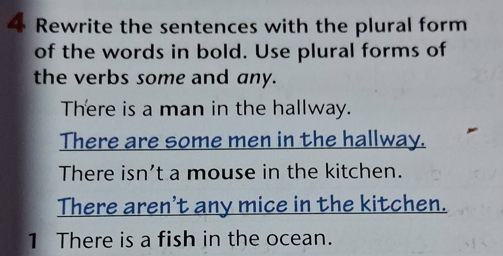 Rewrite the sentences with the plural form 
of the words in bold. Use plural forms of 
the verbs some and any. 
There is a man in the hallway. 
There are some men in the hallway. 
There isn’t a mouse in the kitchen. 
There aren't any mice in the kitchen. 
1 There is a fish in the ocean.