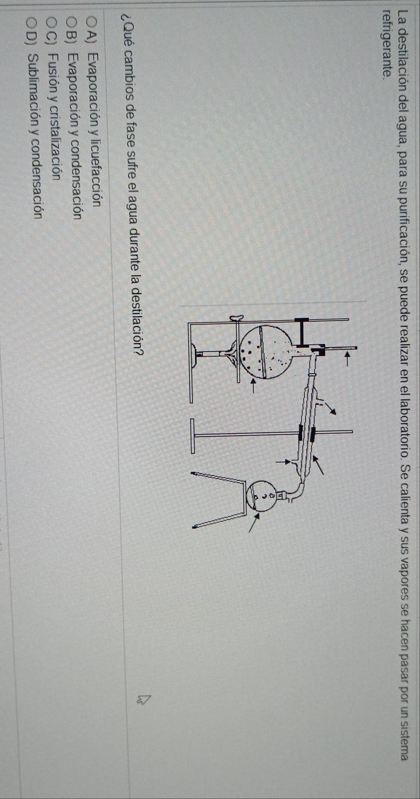 La destilación del agua, para su purificación, se puede realizar en el laboratorio. Se calienta y sus vapores se hacen pasar por un sistema
refrigerante.
¿Qué cambios de fase sufre el agua durante la destilación?
A) Evaporación y licuefacción
B) Evaporación y condensación
C) Fusión y cristalización
D) Sublimación y condensación