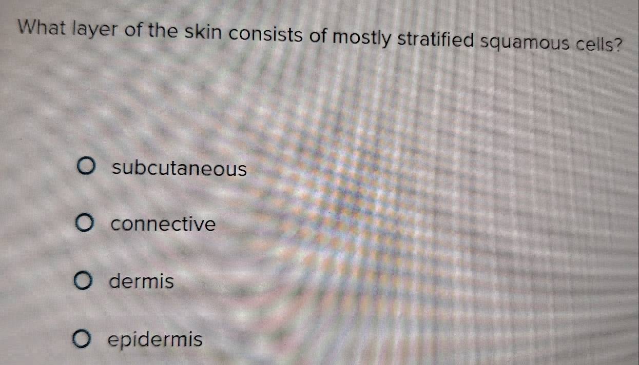 What layer of the skin consists of mostly stratified squamous cells?
subcutaneous
connective
dermis
epidermis