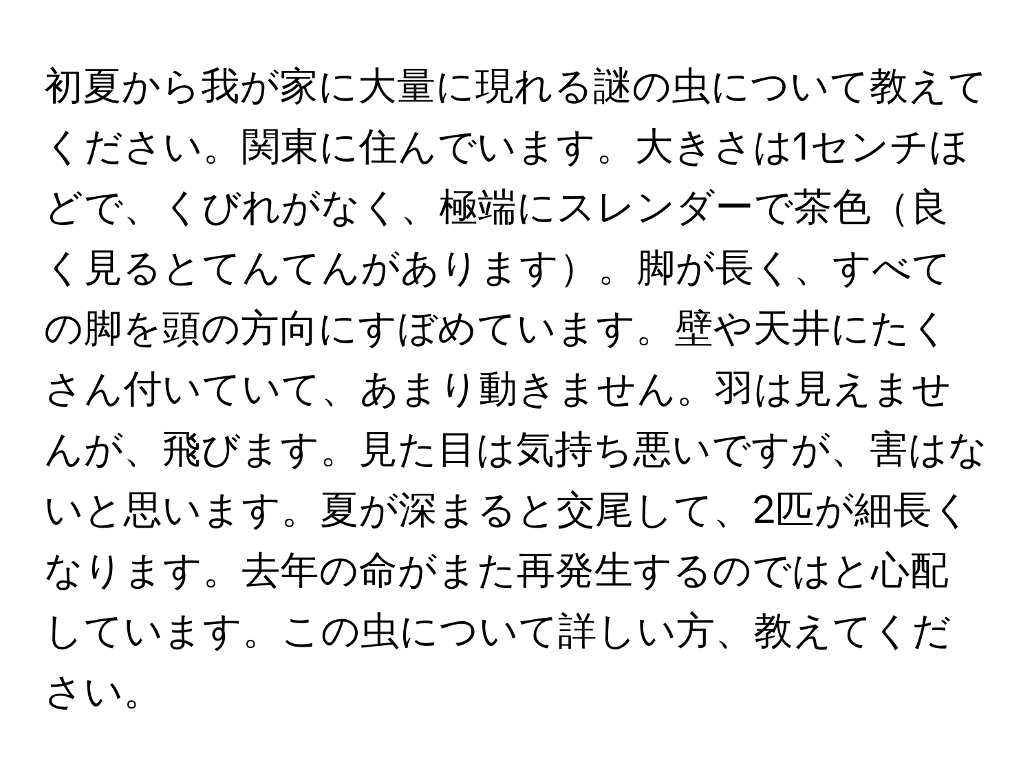 初夏から我が家に大量に現れる謎の虫について教えてください。関東に住んでいます。大きさは1センチほどで、くびれがなく、極端にスレンダーで茶色良く見るとてんてんがあります。脚が長く、すべての脚を頭の方向にすぼめています。壁や天井にたくさん付いていて、あまり動きません。羽は見えませんが、飛びます。見た目は気持ち悪いですが、害はないと思います。夏が深まると交尾して、2匹が細長くなります。去年の命がまた再発生するのではと心配しています。この虫について詳しい方、教えてください。